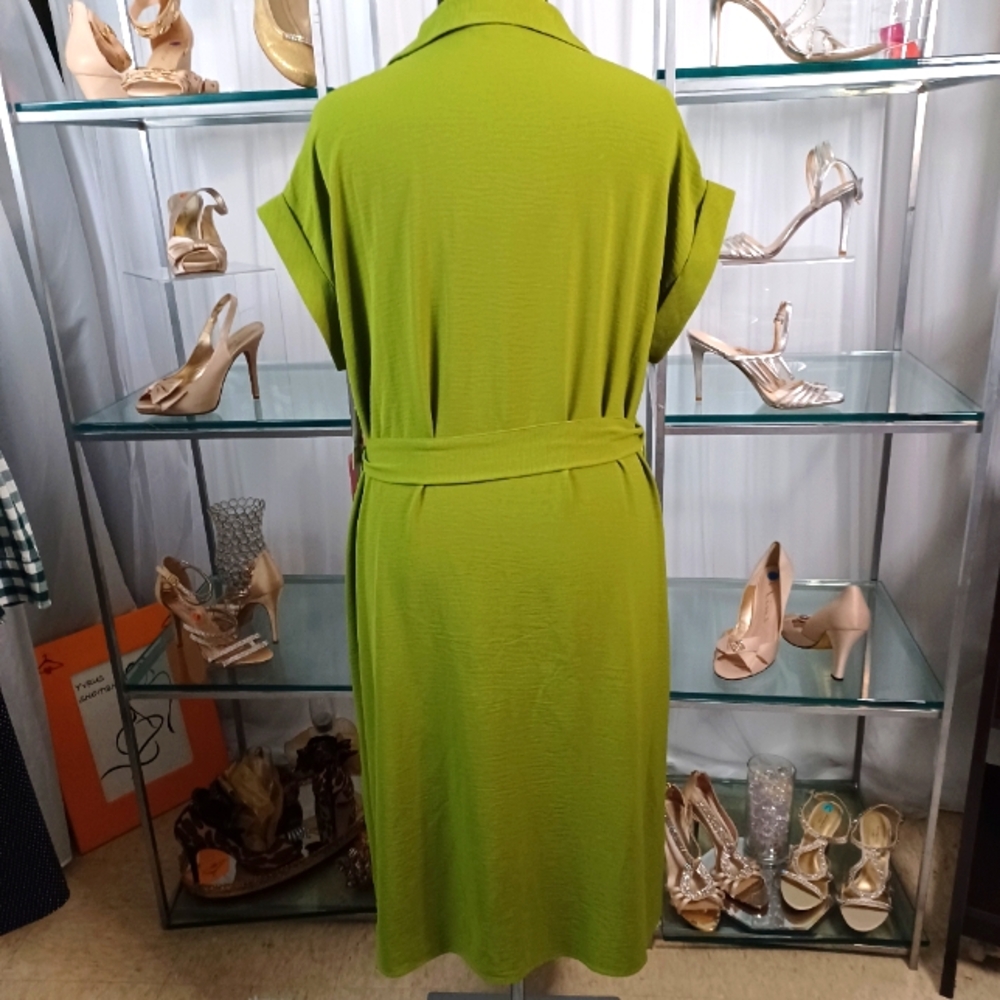 Button-Front Tie-Waist Maxi Dress in Lime Green - Picture 11 of 15